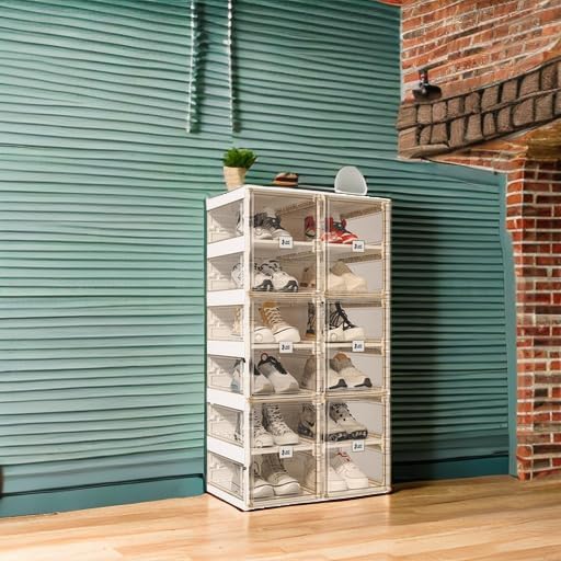 Foldable Shoe Storage Box