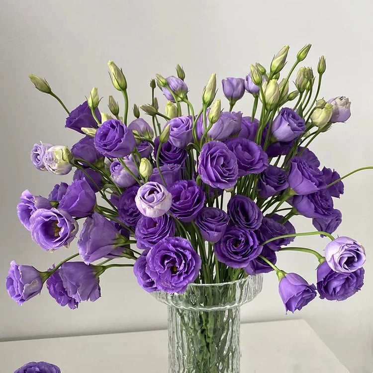 ⏰Limited stock, sold out soon🔥Eustoma Thornless Rose💐Lisanthus Seeds