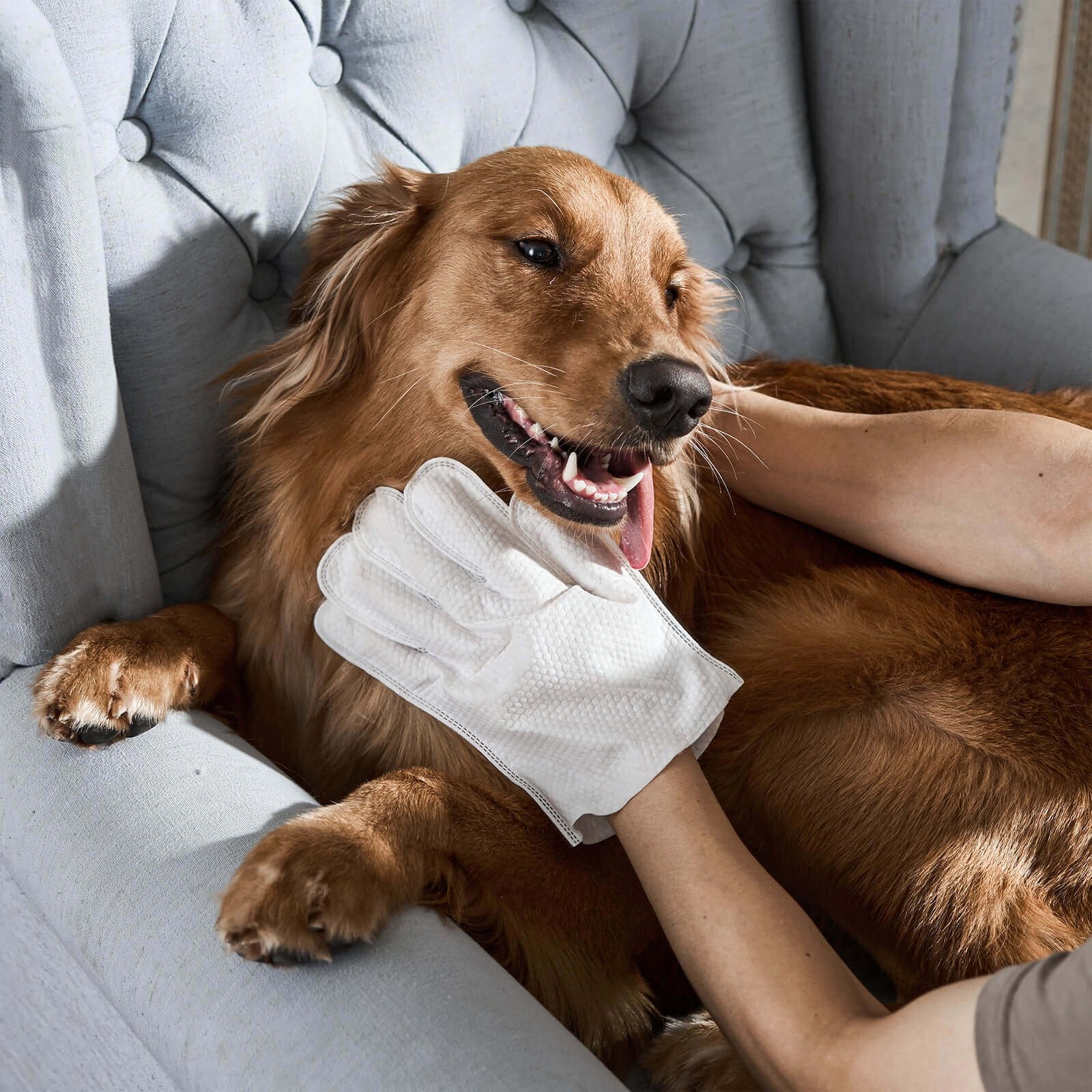 ⏰Limited Time Promotion 49% Off⚡Odor-Removing Pet Grooming Gloves