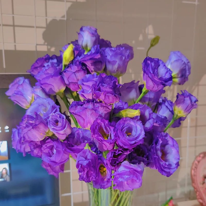 ⏰Limited stock, sold out soon🔥Eustoma Thornless Rose💐Lisanthus Seeds
